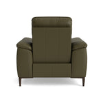 Loma Recliner Armchair - Power Recliner Chair USB Cat 20S - Power Recliner with USB — NWS-548E DARK OLIVE, gallery image 2