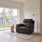 Nicoletti Vivaldi Armchair - Chair CK Botero — Botero 2157 Testa Di Moro, gallery image 1