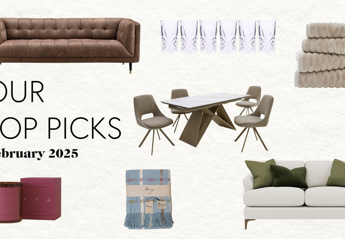 Our Top Picks February 2025