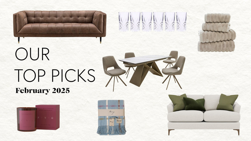 Our Top Picks February 2025