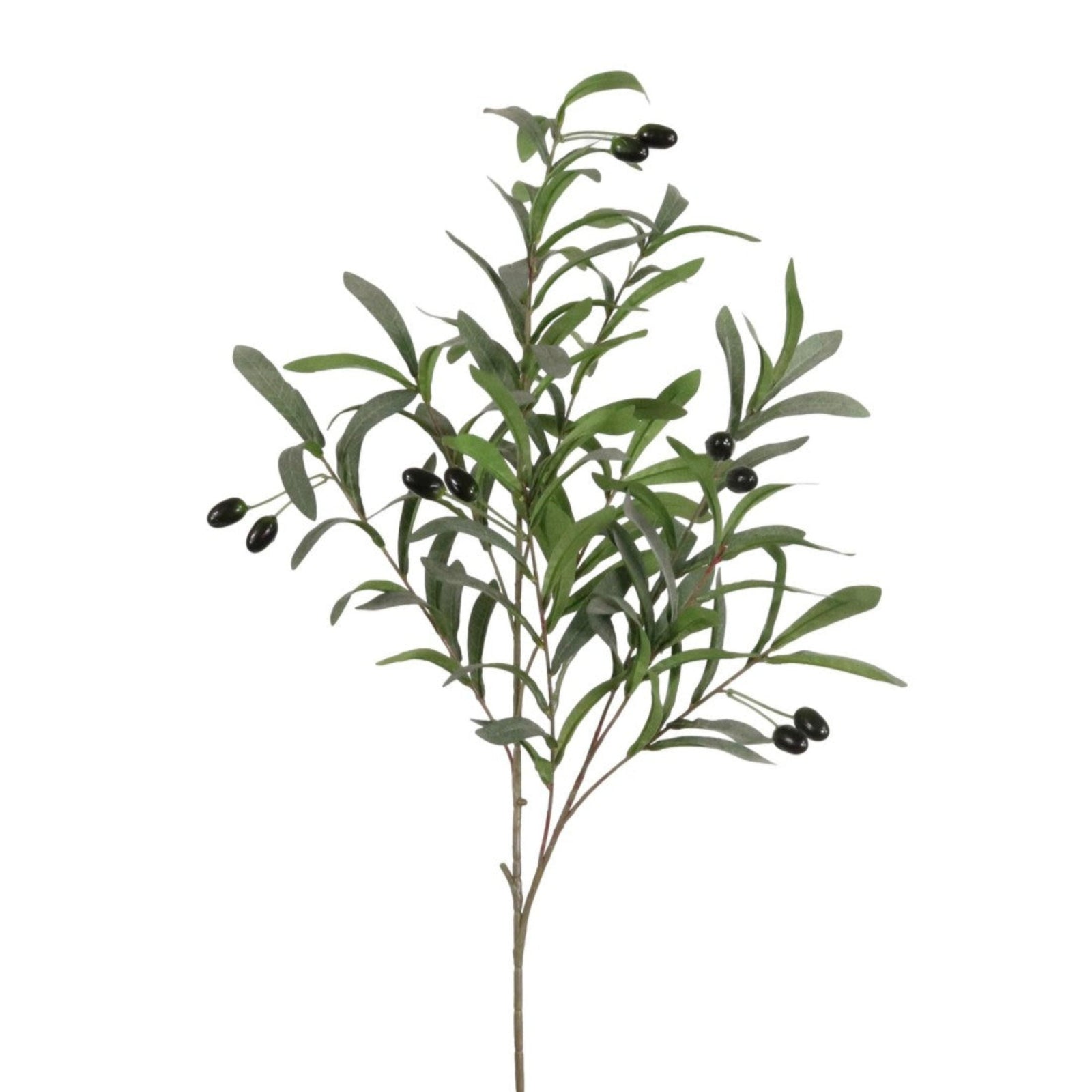 Olive Spray 100CM Sterling Home 3