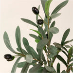 Olive Spray 85CM Sterling Home 2