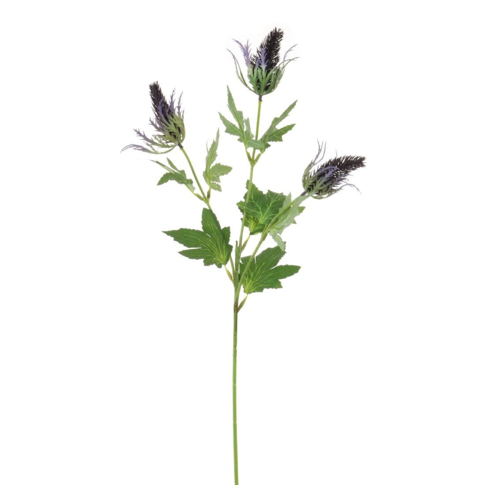 Eryngium Spray Purple Sterling Home 3