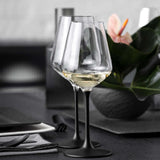 Villeroy & Boch Set Of 4 Black Red Wine Glasses