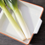 Calisto Terracotta White Glazed Oven to Table Dish