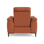 Loma Recliner Armchair - Power Recliner Chair USB Cat 20S - Power Recliner with USB — NWS-605D WARM BROWN, gallery image 2
