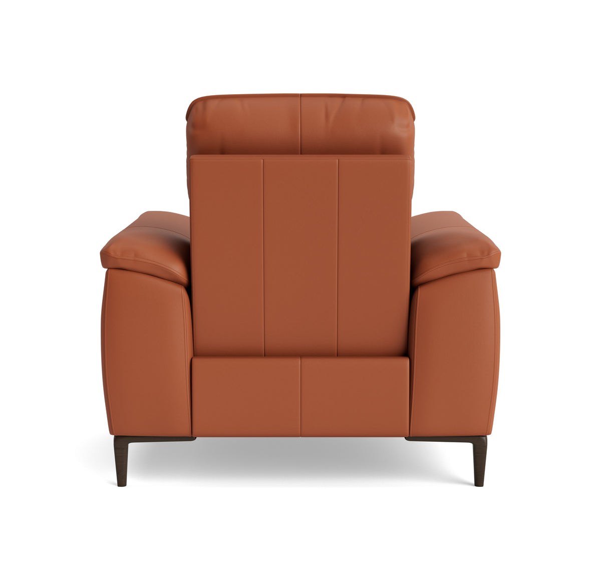 Loma Recliner Armchair - Power Recliner Chair USB Cat 20S - Power Recliner with USB — NWS-605D WARM BROWN, gallery image 2
