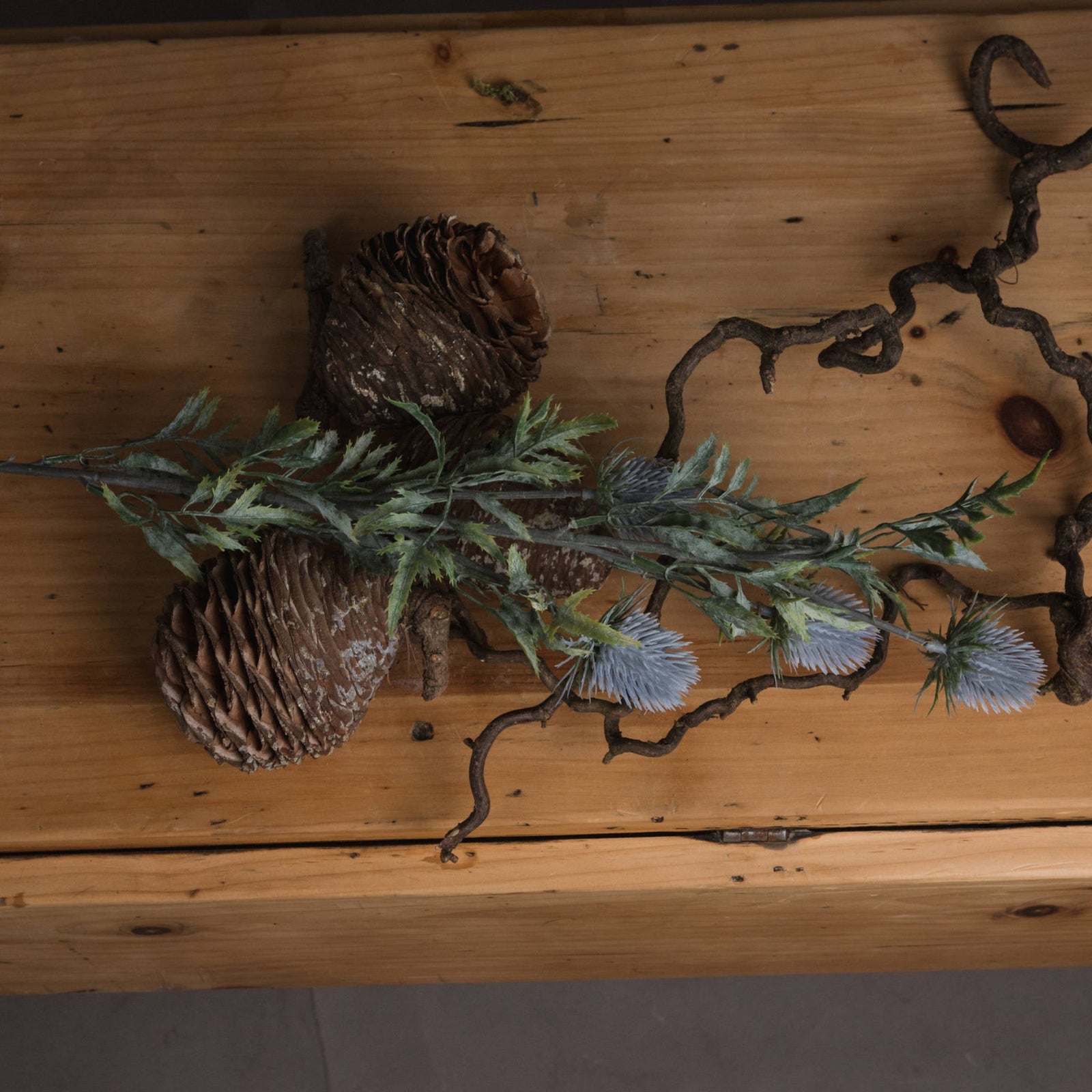 Eryngium Thistle Sterling Home 2