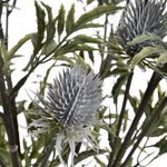 Eryngium Thistle Sterling Home 3