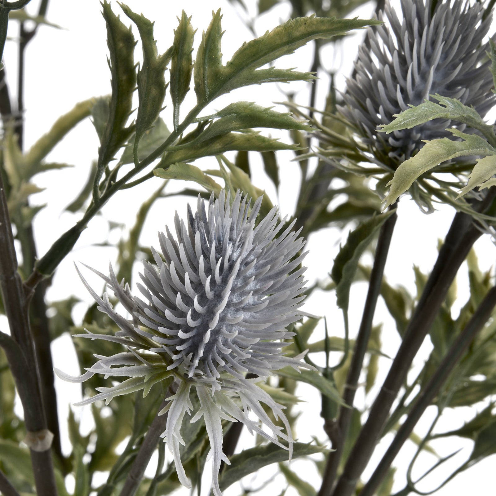 Eryngium Thistle Sterling Home 3