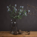 Eryngium Thistle