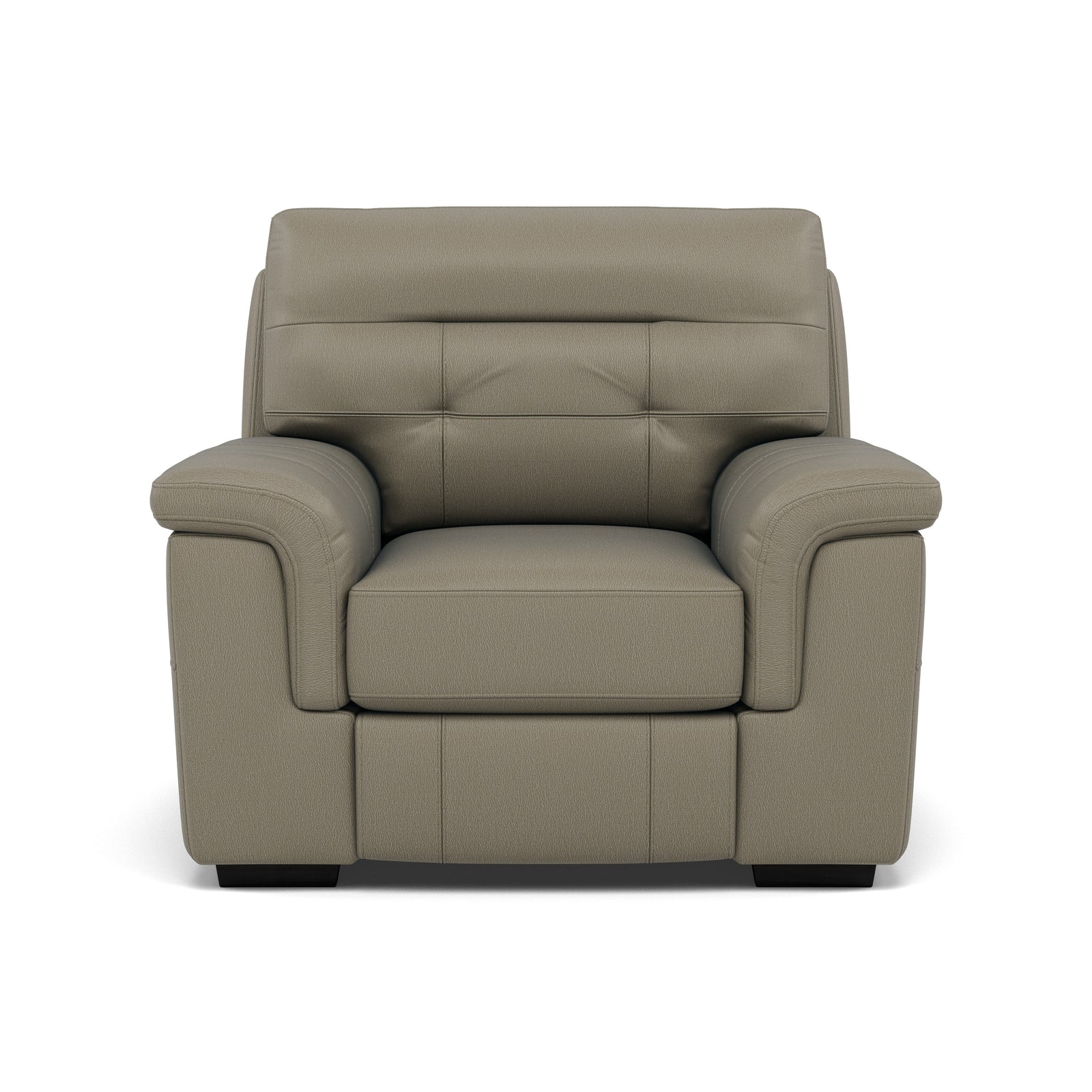 Silva Armchair - Armchair BXS Only Armchairs Sterling Home 9 BXS-039C PEBBLE