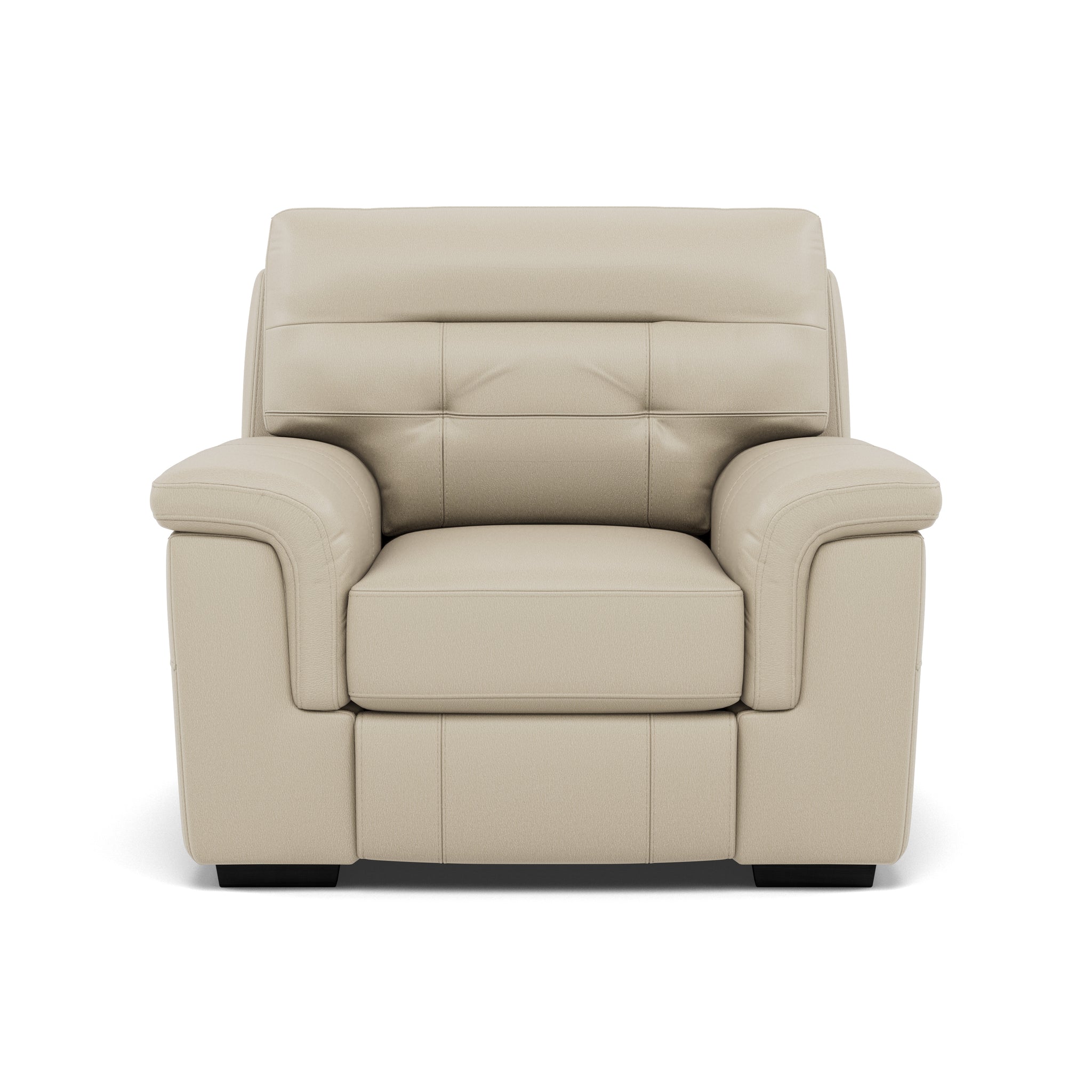 Silva Armchair - Armchair BXS Only Armchairs Sterling Home 5 BXS-041E SILVER GREY