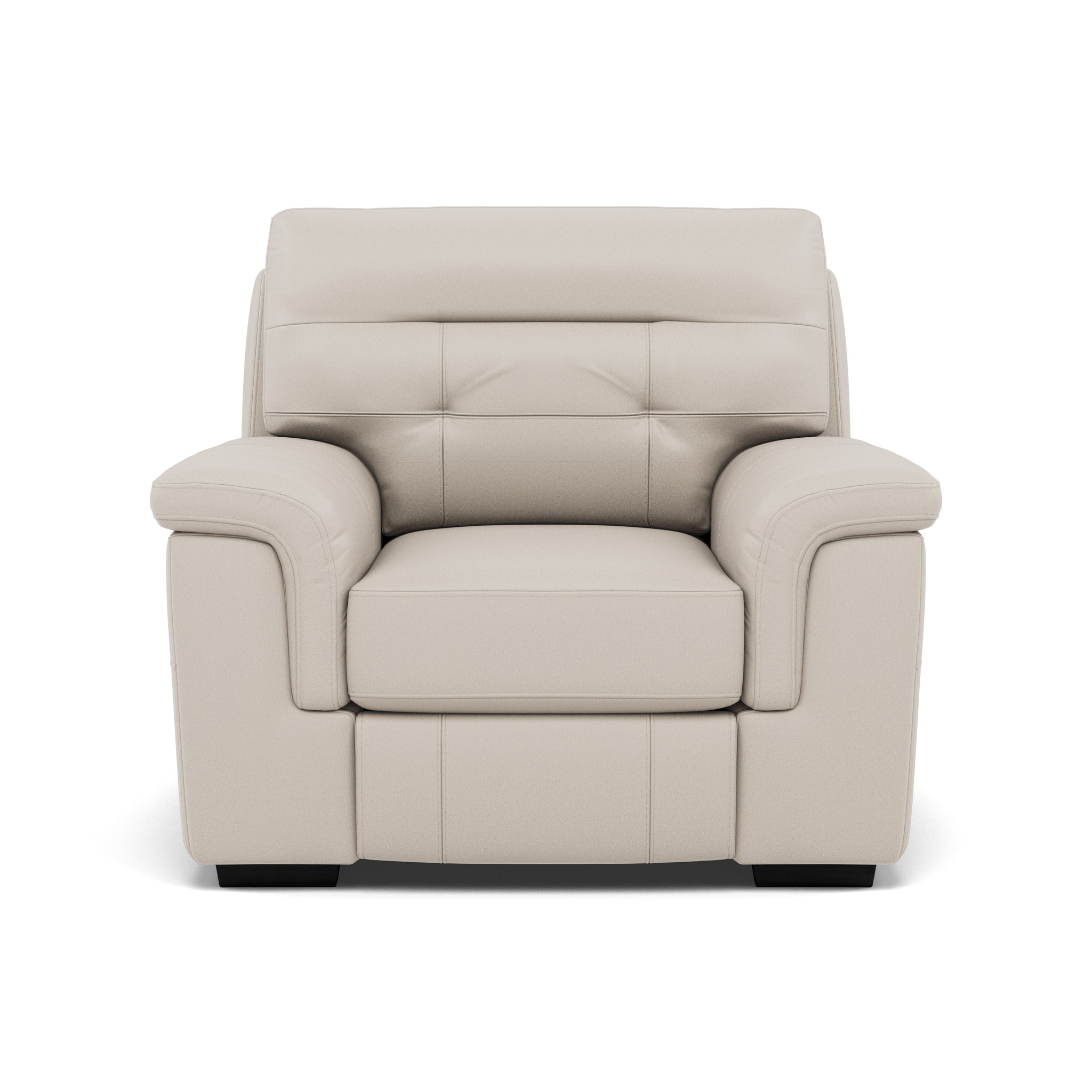Silva Armchair - Armchair BXS Only Armchairs Sterling Home 3 BXS-156E FROST