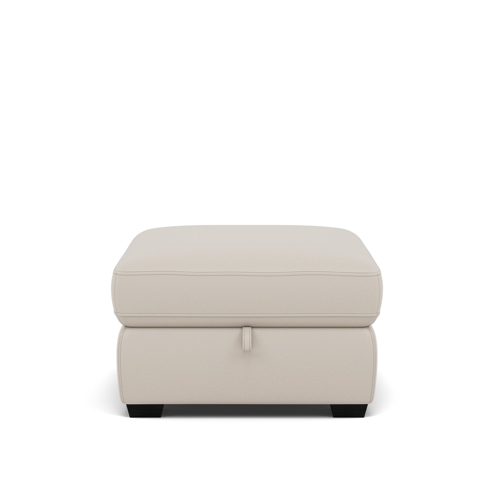 Dino Storage Footstool - Storage footstool BXS Only Footstools Sterling Home 7 BXS-156E FROST