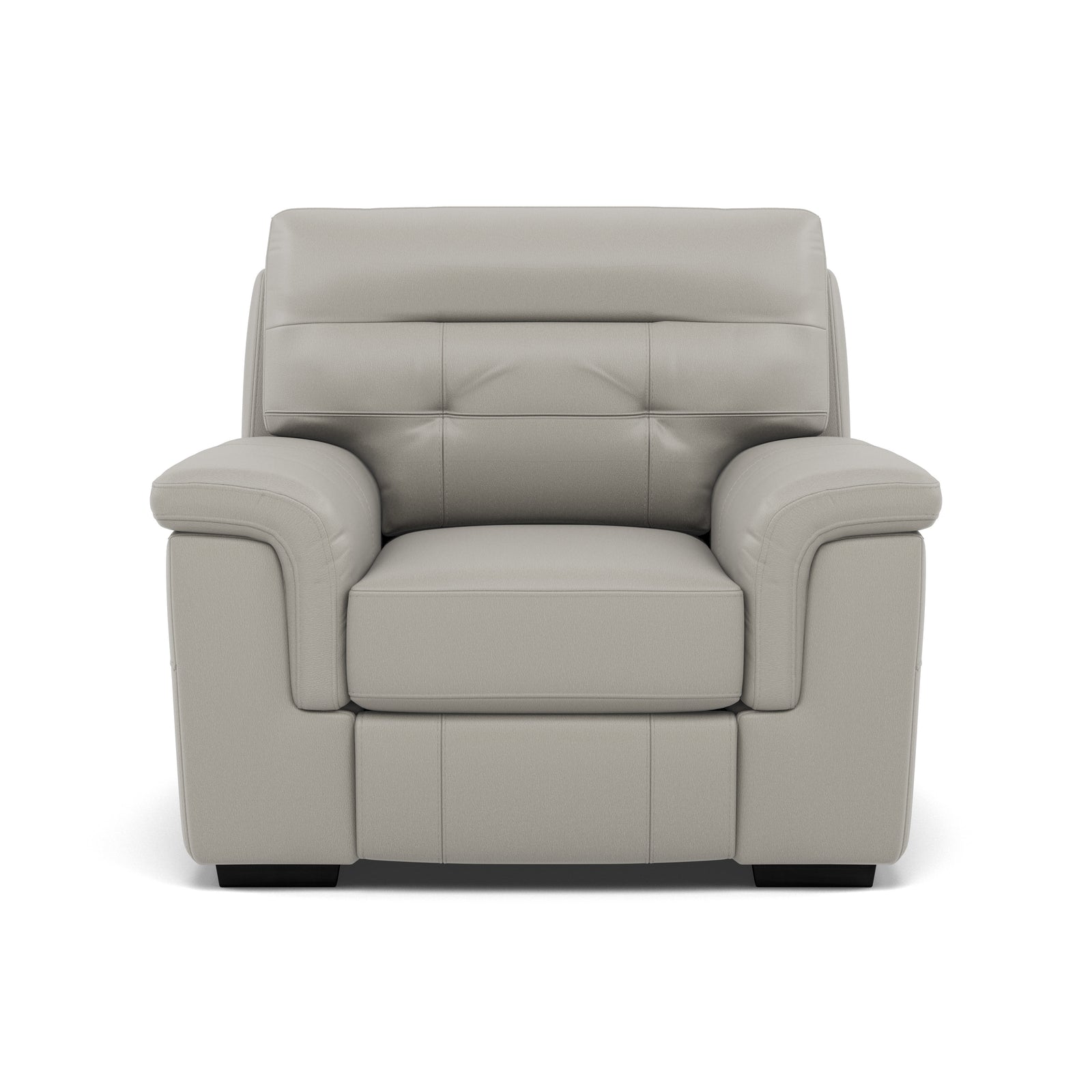 Silva Armchair - Armchair BXS Only Armchairs Sterling Home 4 BXS-251E GREY