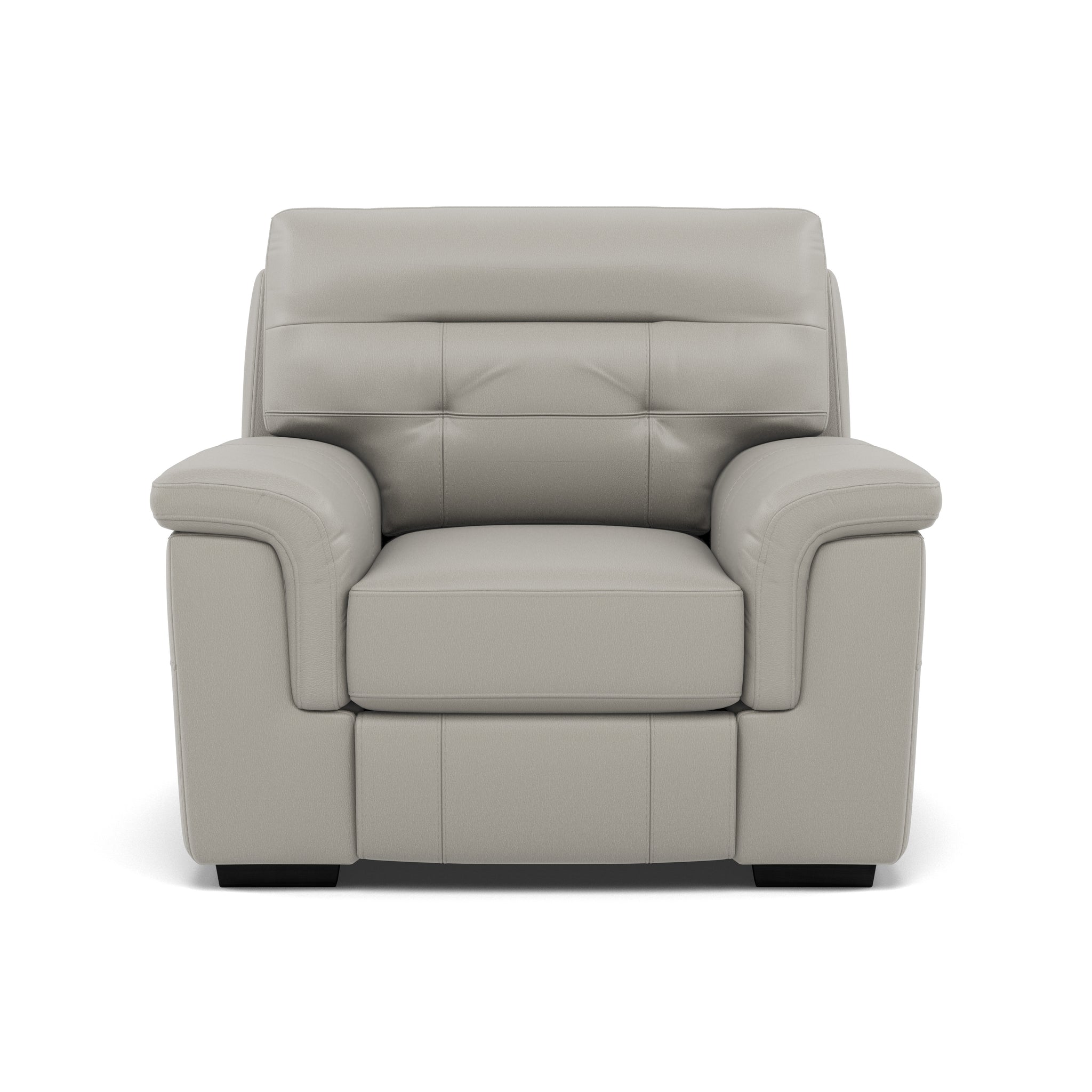 Silva Armchair - Armchair BXS Only Armchairs Sterling Home 4 BXS-251E GREY