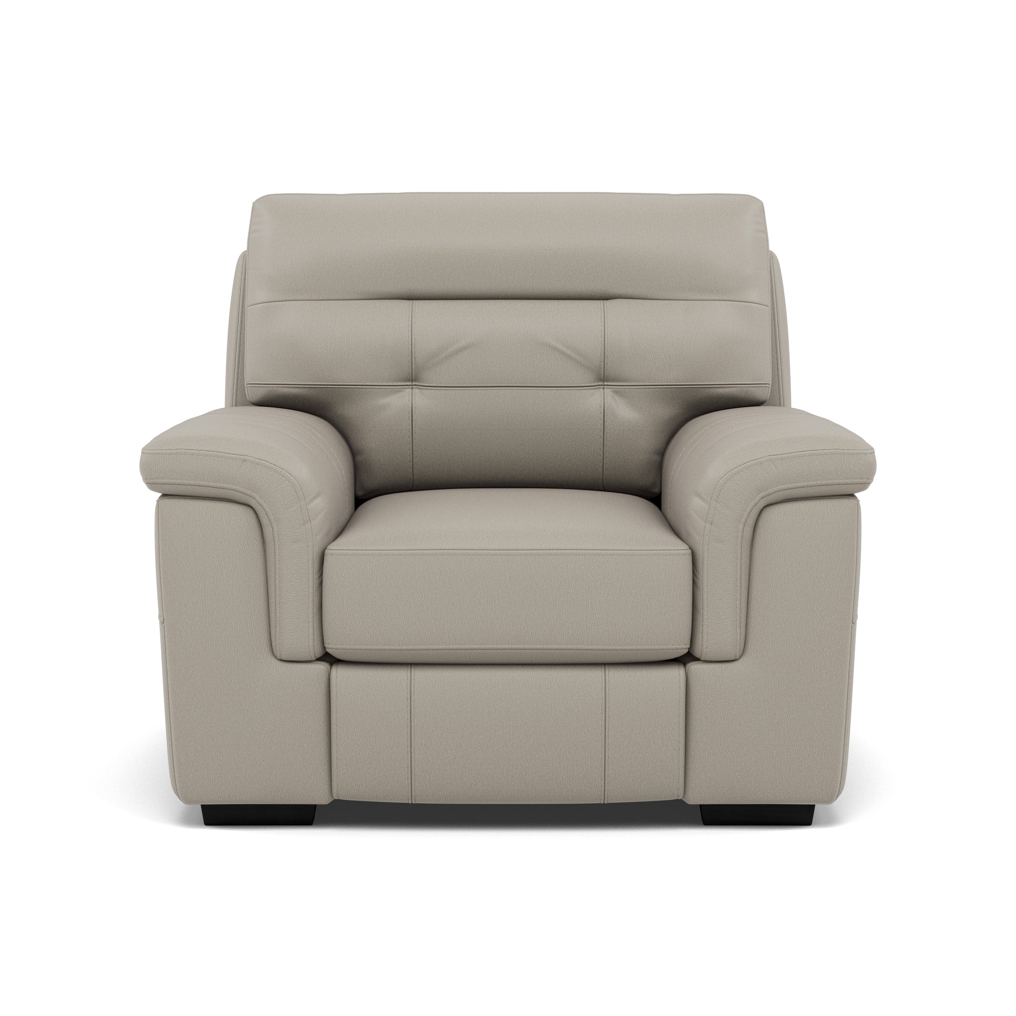 Silva Armchair - Armchair BXS Only Armchairs Sterling Home 1 BXS-946B FEATHER GREY