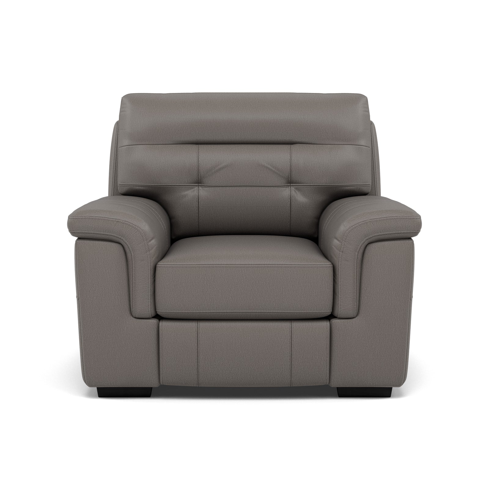 Silva Armchair - Armchair BXS Only Armchairs Sterling Home 6 BXS-042E ELEPHANT