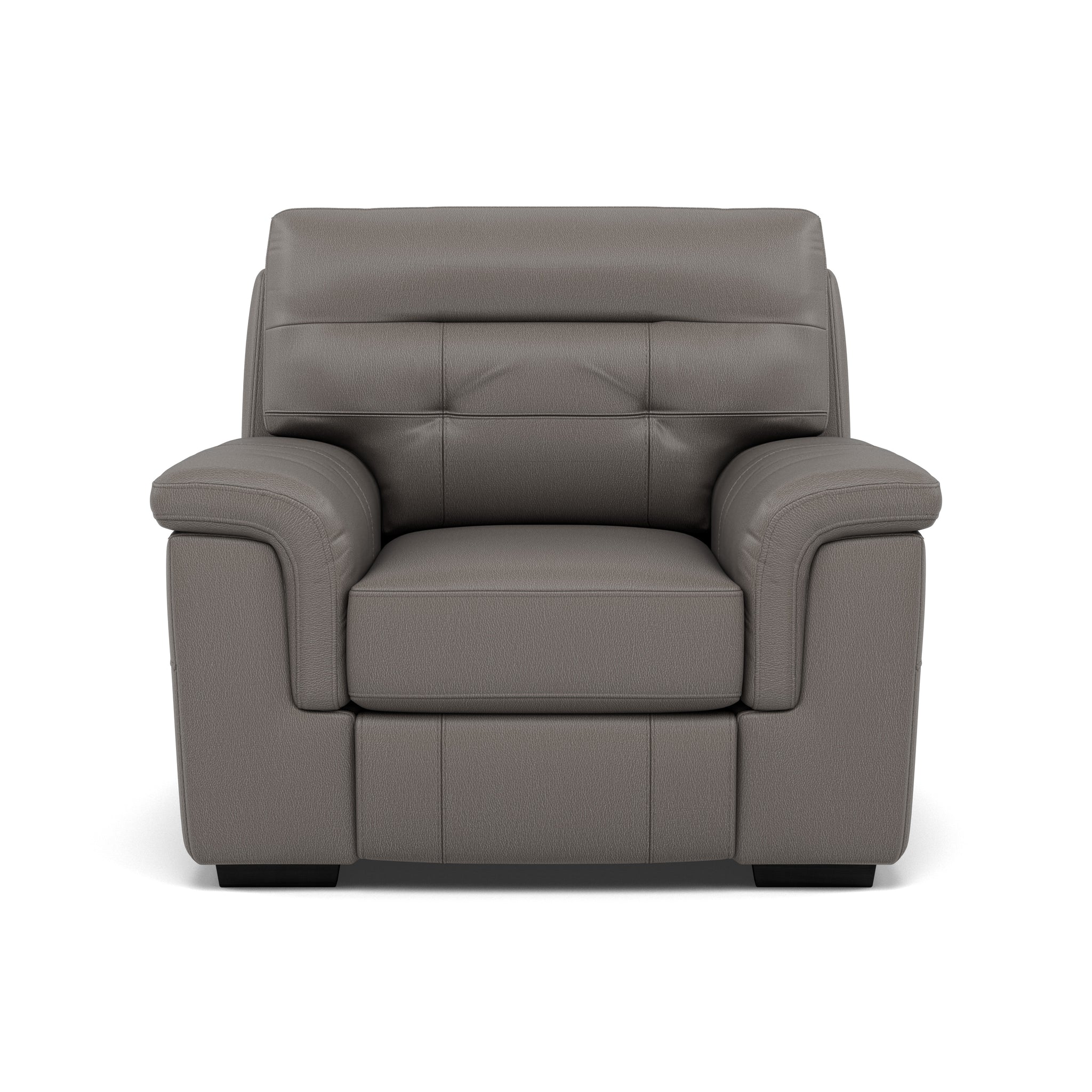 Silva Armchair - Armchair BXS Only Armchairs Sterling Home 6 BXS-042E ELEPHANT
