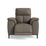 Loma Recliner Armchair - Power Recliner Chair USB Cat 20S - Power Recliner with USB Sterling Home 3 NWS-042E ELEPHANT
