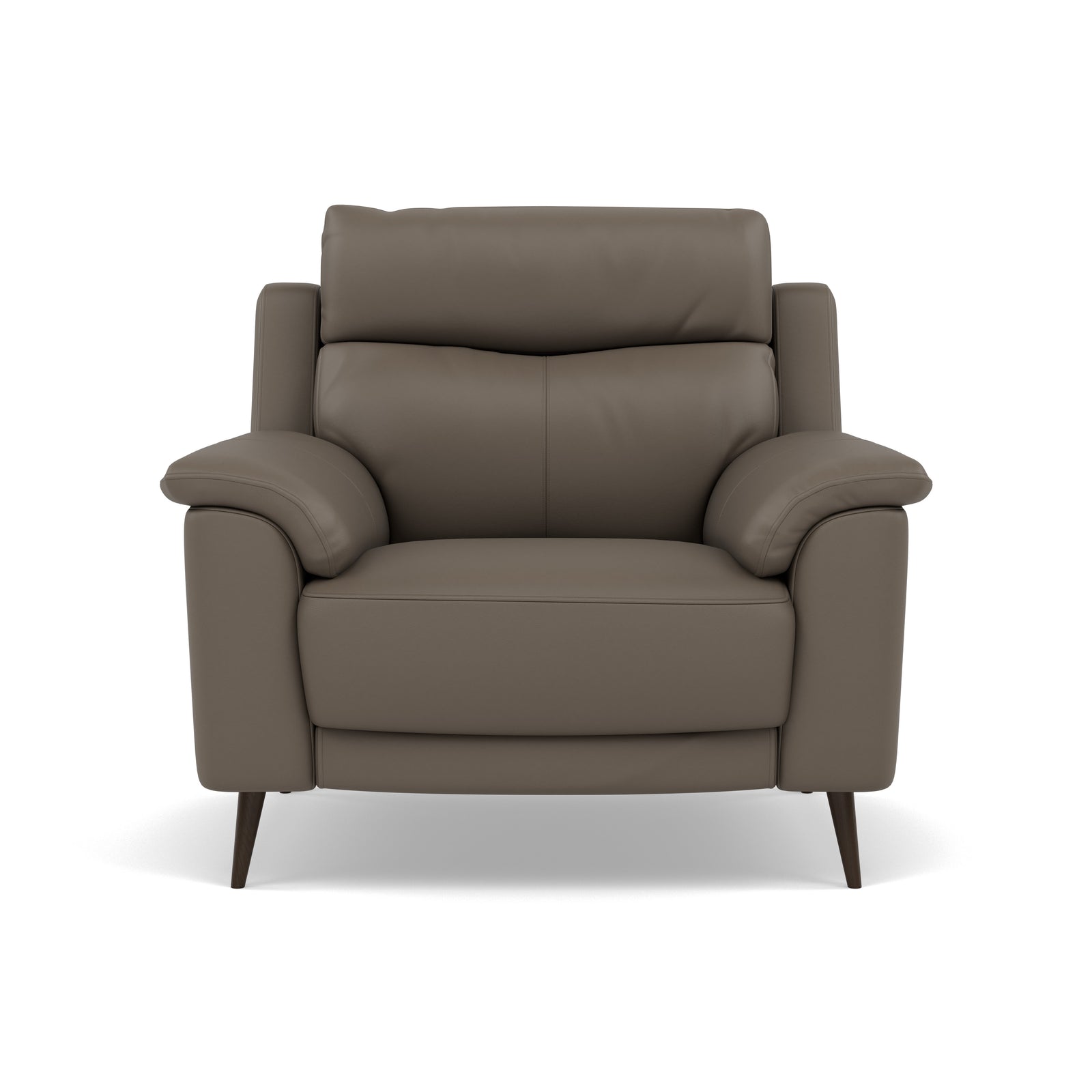 Revel Armchair - Armchair Cat 20S Sterling Home 3 NWS-042E ELEPHANT