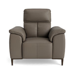 Loma Armchair - Armchair Cat 20S Sterling Home 3 NWS-042E ELEPHANT