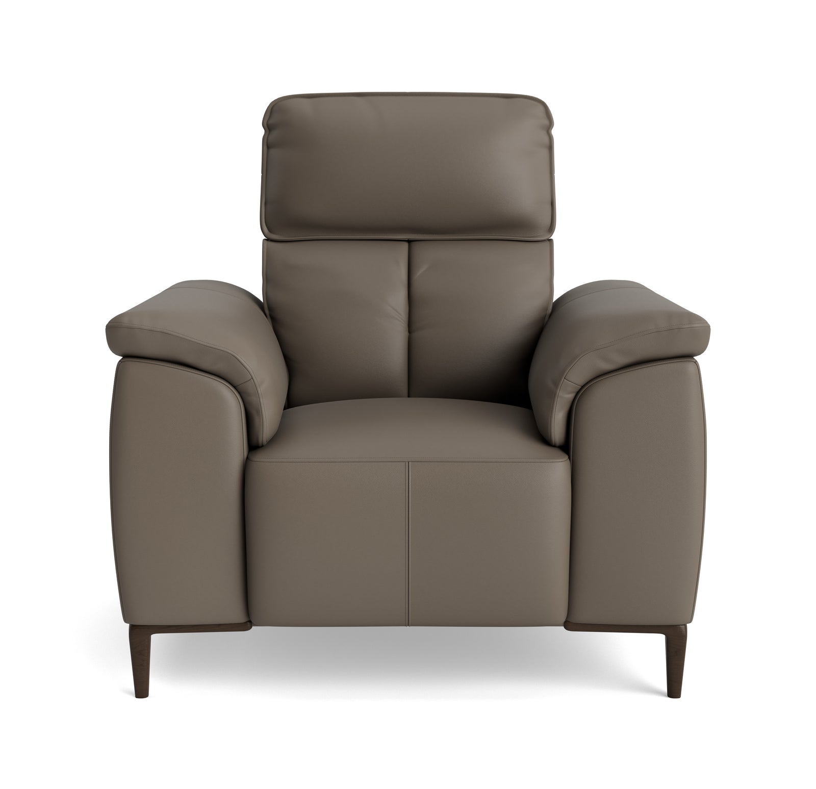 Loma Armchair - Armchair Cat 20S Sterling Home 3 NWS-042E ELEPHANT