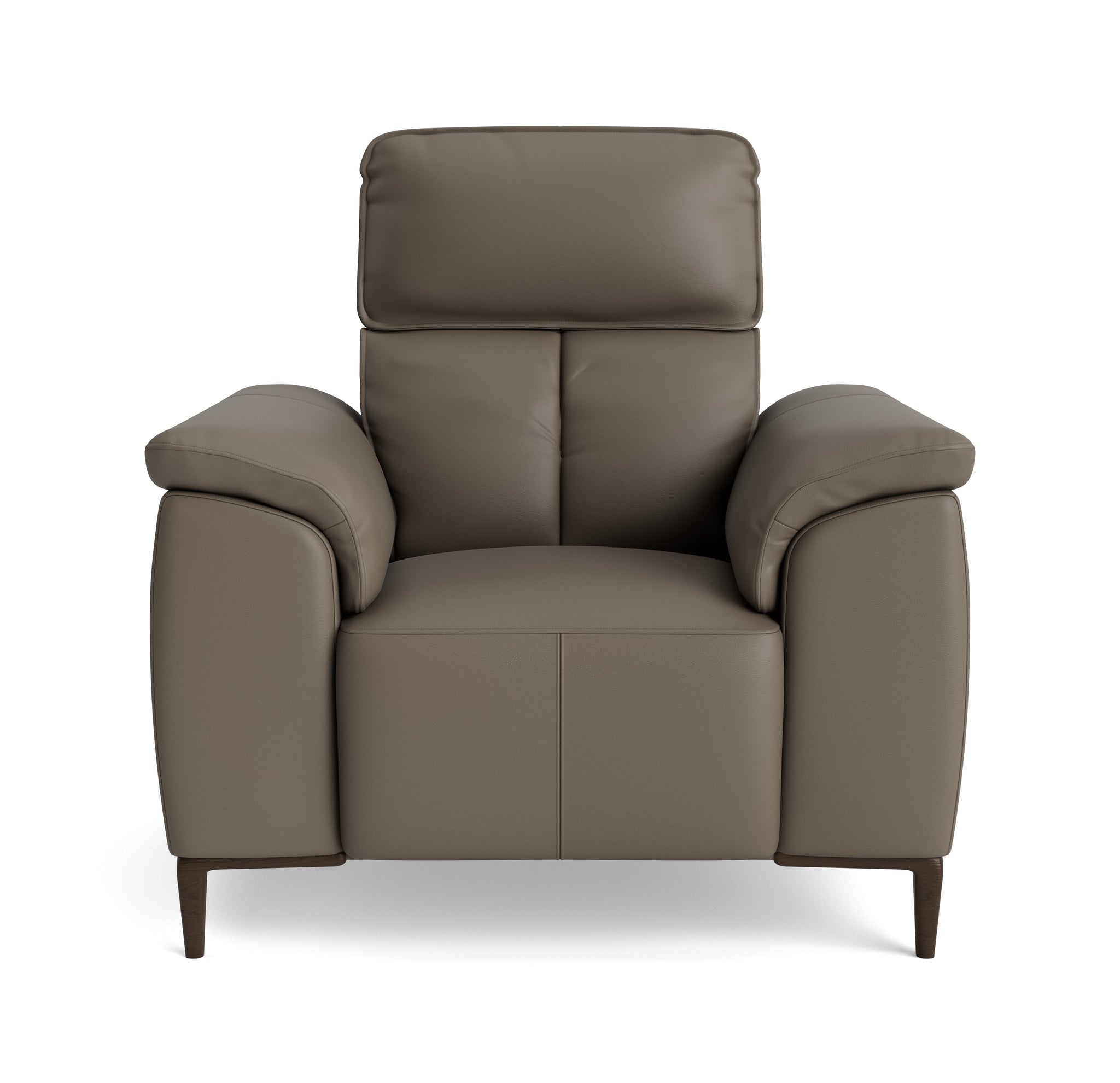 Loma Armchair - Armchair Cat 20S Sterling Home 3 NWS-042E ELEPHANT
