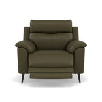 Revel Recliner Armchair - Power Recliner Chair Cat 20S - Power Recliner with USB Armchairs Sterling Home 1 NWS-548E DARK OLIVE