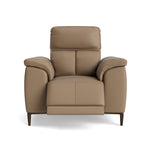 Loma Recliner Armchair - Power Recliner Chair USB Cat 20S - Power Recliner with USB Sterling Home 5 NWS-513E PINE BARK