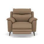 Revel Recliner Armchair - Power Recliner Chair Cat 20S - Power Recliner with USB Armchairs Sterling Home 5 NWS-513E PINE BARK