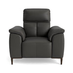 Loma Armchair - Armchair Cat 20S Sterling Home 1 NWS-517E SHALE GREY