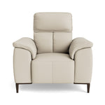 Loma Armchair - Armchair Cat 20S Sterling Home 8 NWS-521E FROST