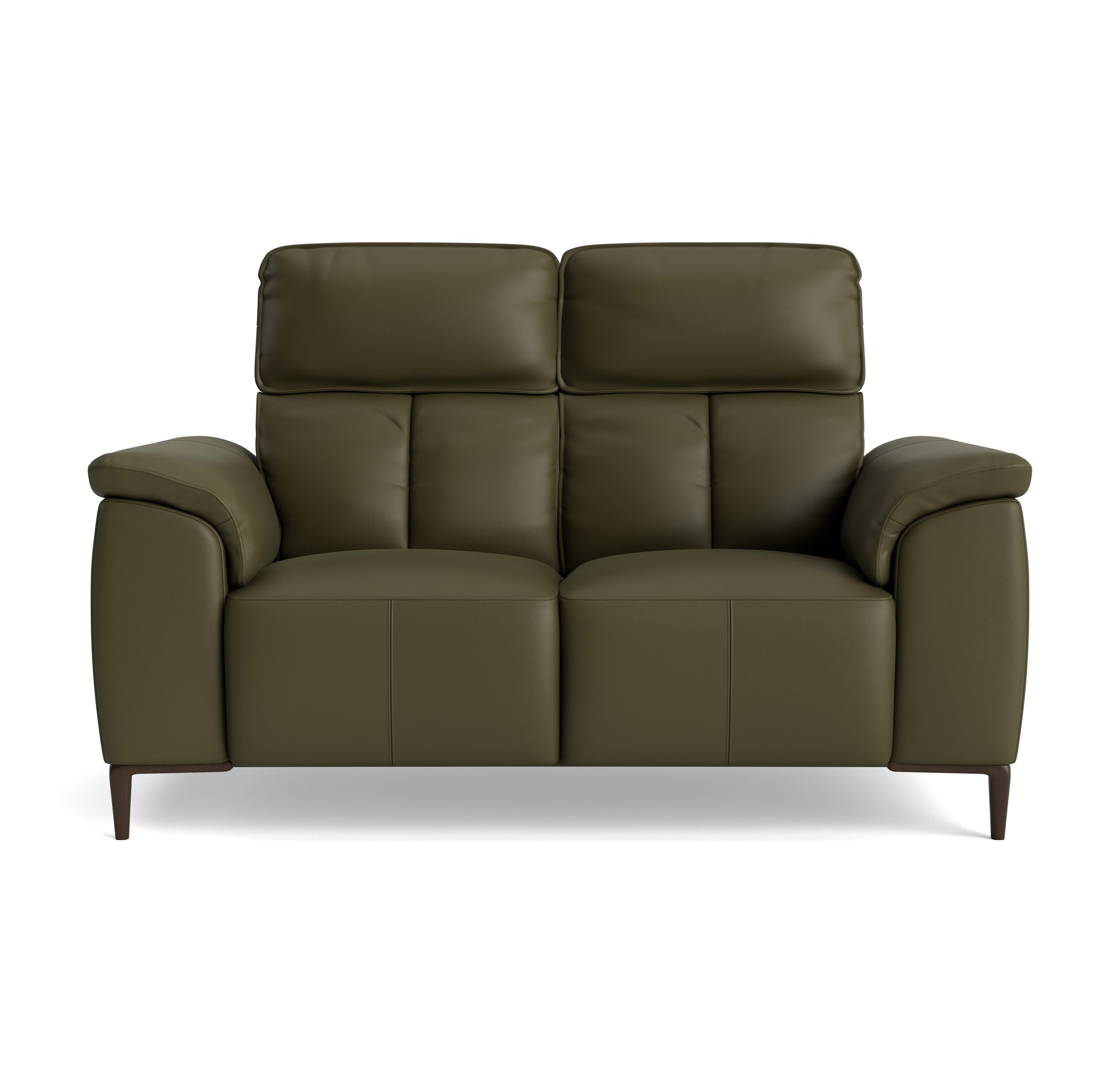 Loma 2 Seater Sofa - 2 Seater Sofa Cat 20S 2 Seater Sofas Sterling Home 9 NWS-548E DARK OLIVE