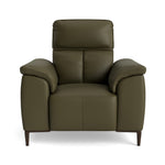 Loma Armchair - Armchair Cat 20S Sterling Home 9 NWS-548E DARK OLIVE
