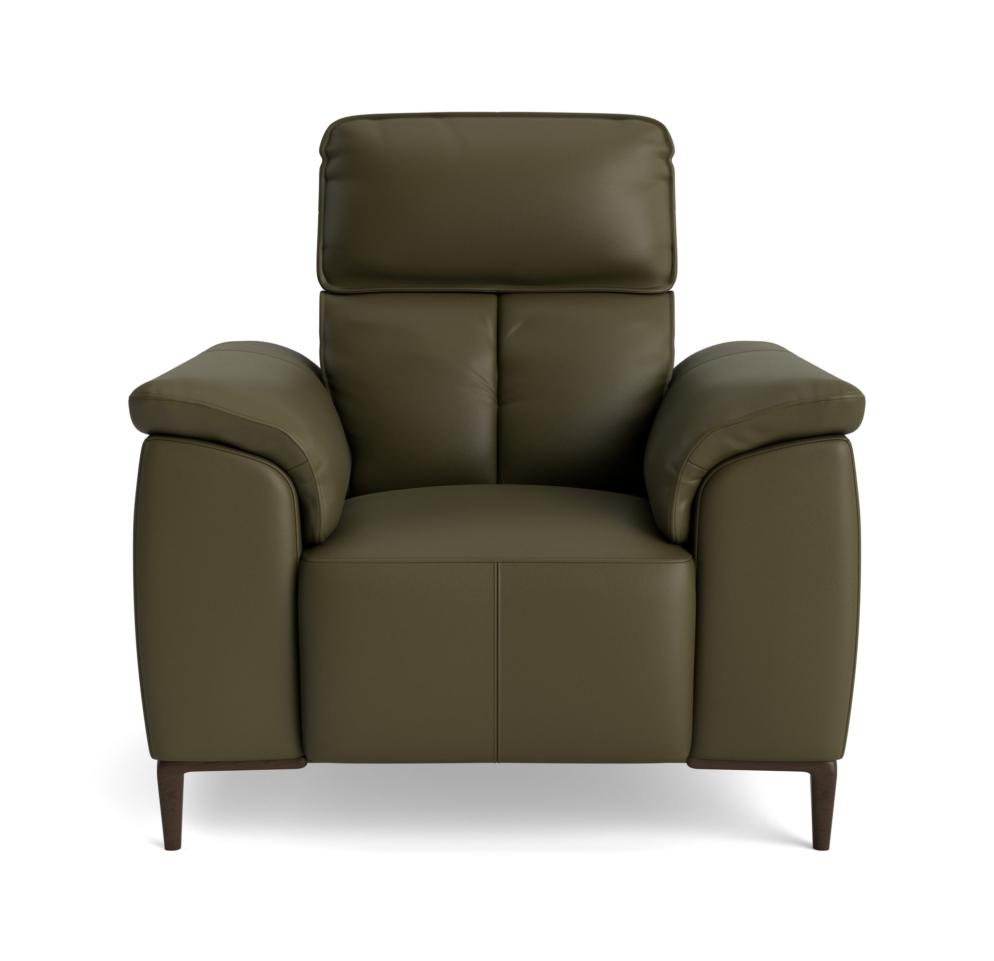 Loma Armchair - Armchair Cat 20S Sterling Home 9 NWS-548E DARK OLIVE