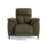 Loma Recliner Armchair - Power Recliner Chair USB Cat 20S - Power Recliner with USB Sterling Home 9 NWS-548E DARK OLIVE