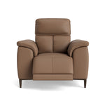 Loma Recliner Armchair - Power Recliner Chair USB Cat 20S - Power Recliner with USB Sterling Home 10 NWS-586E FAWN