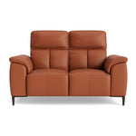 Loma 2 Seater Sofa - 2 Seater Sofa Cat 20S 2 Seater Sofas Sterling Home 11 NWS-605D WARM BROWN