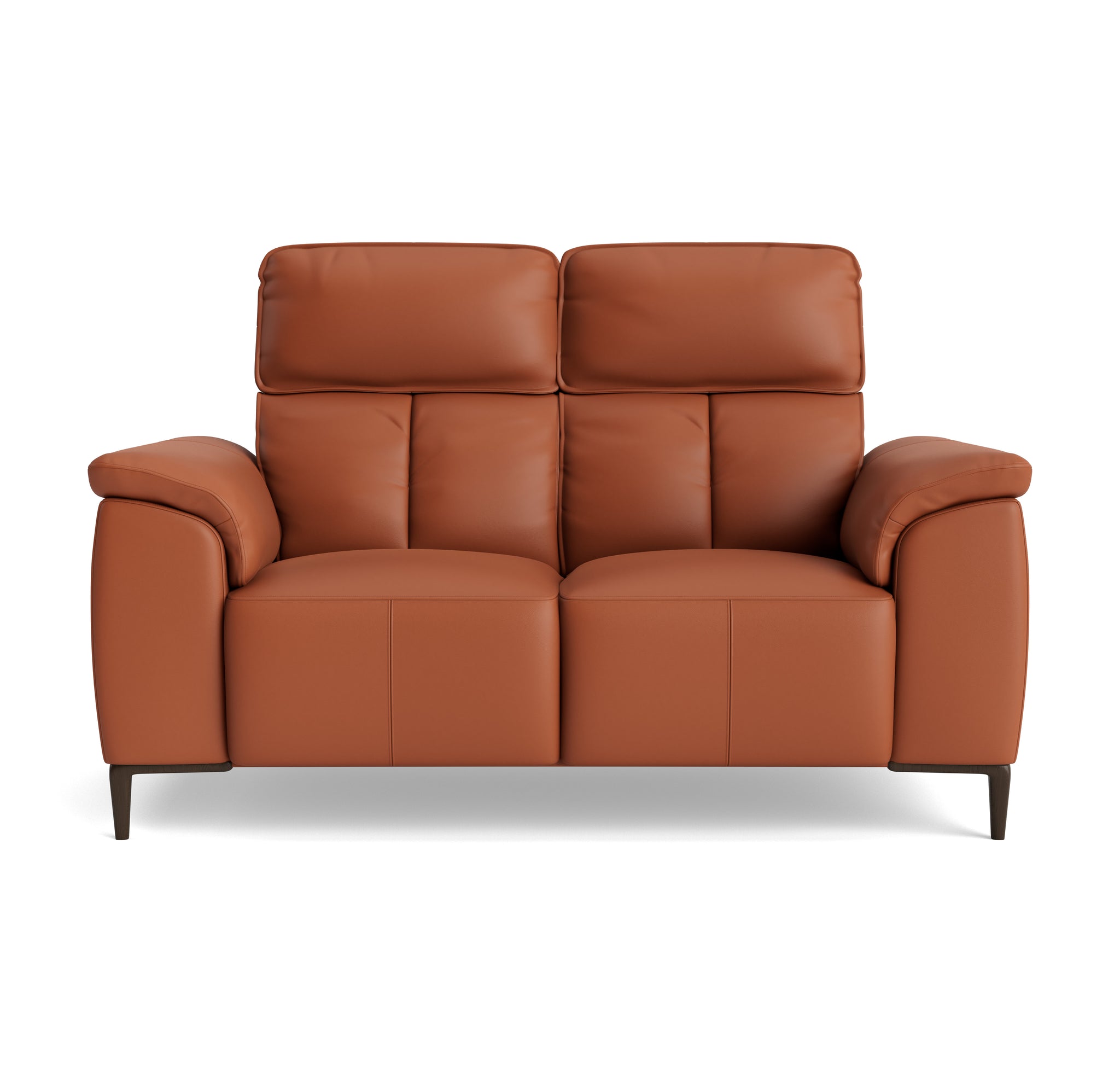 Loma 2 Seater Sofa - 2 Seater Sofa Cat 20S 2 Seater Sofas Sterling Home 11 NWS-605D WARM BROWN