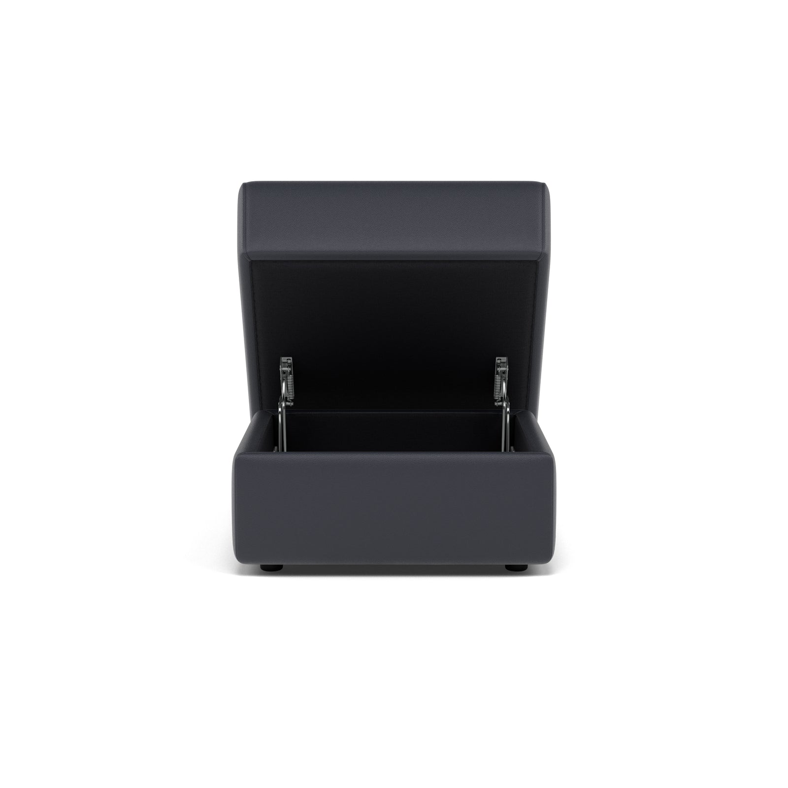 Nicoletti Rossini 2 Storage Footstool Sterling Home 4