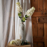 White Spear Hydrangea Stem