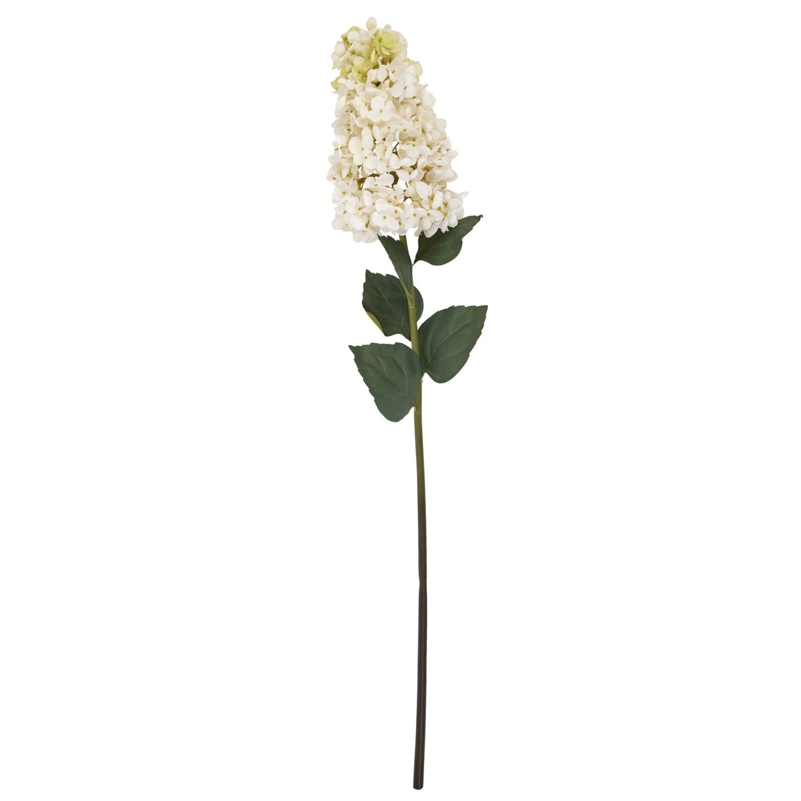 White Spear Hydrangea Stem - White Spear Hydrangea Sterling Home 4
