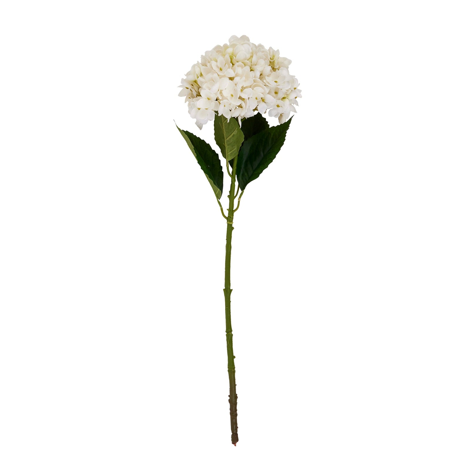 White Hydrangea Stem - White Hydrangea Stem Sterling Home 2