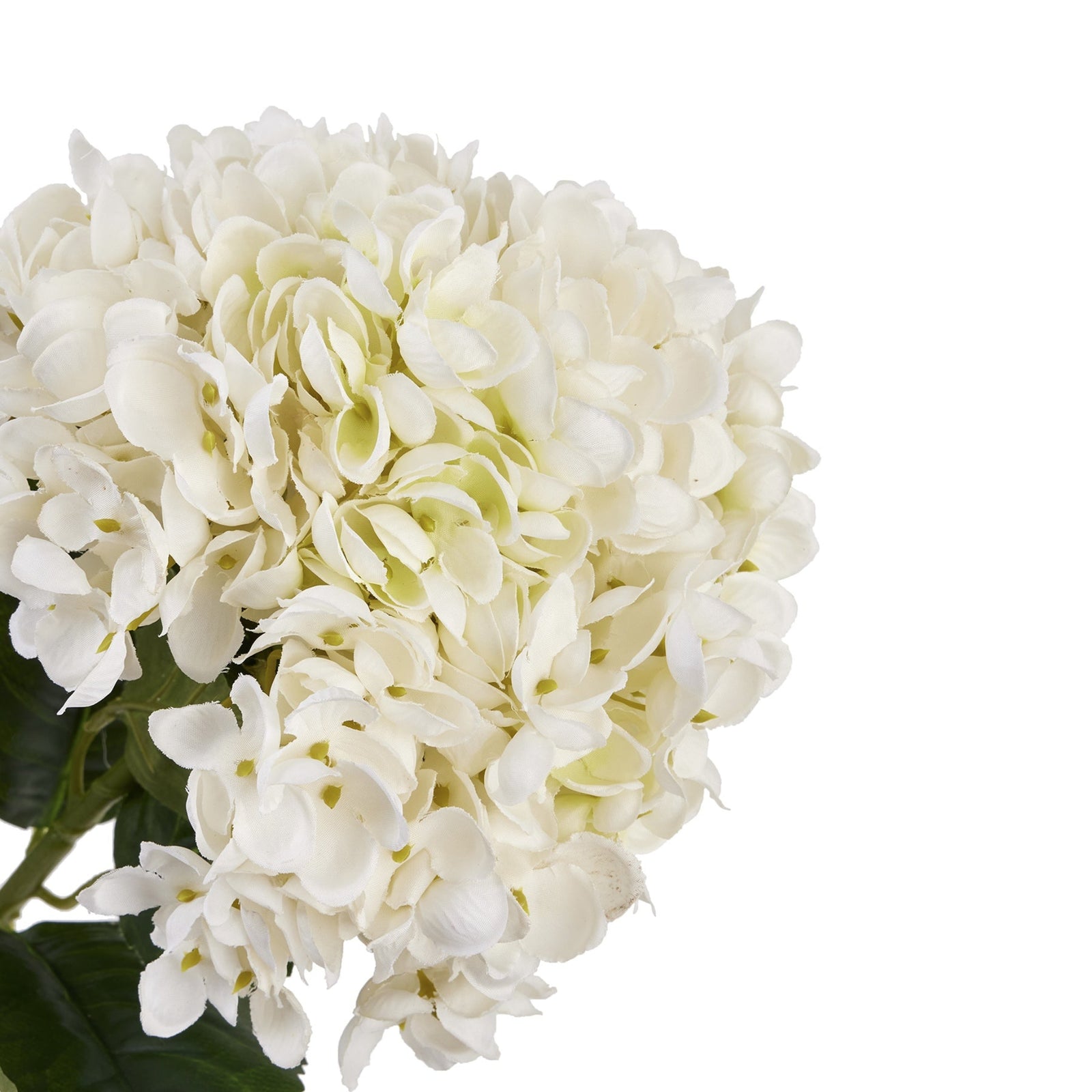 White Hydrangea Stem - White Hydrangea Stem Sterling Home 3