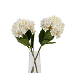 White Hydrangea Stem - White Hydrangea Stem Sterling Home 1