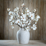 The Natural Garden Collection White Magnolia Stem