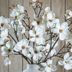 The Natural Garden Collection White Magnolia Stem Sterling Home 2