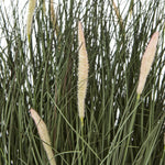 Large Fountain Grass Plant In Pot 81CM - Large Fountain Grass Plant In Pot 81CM Sterling Home 2